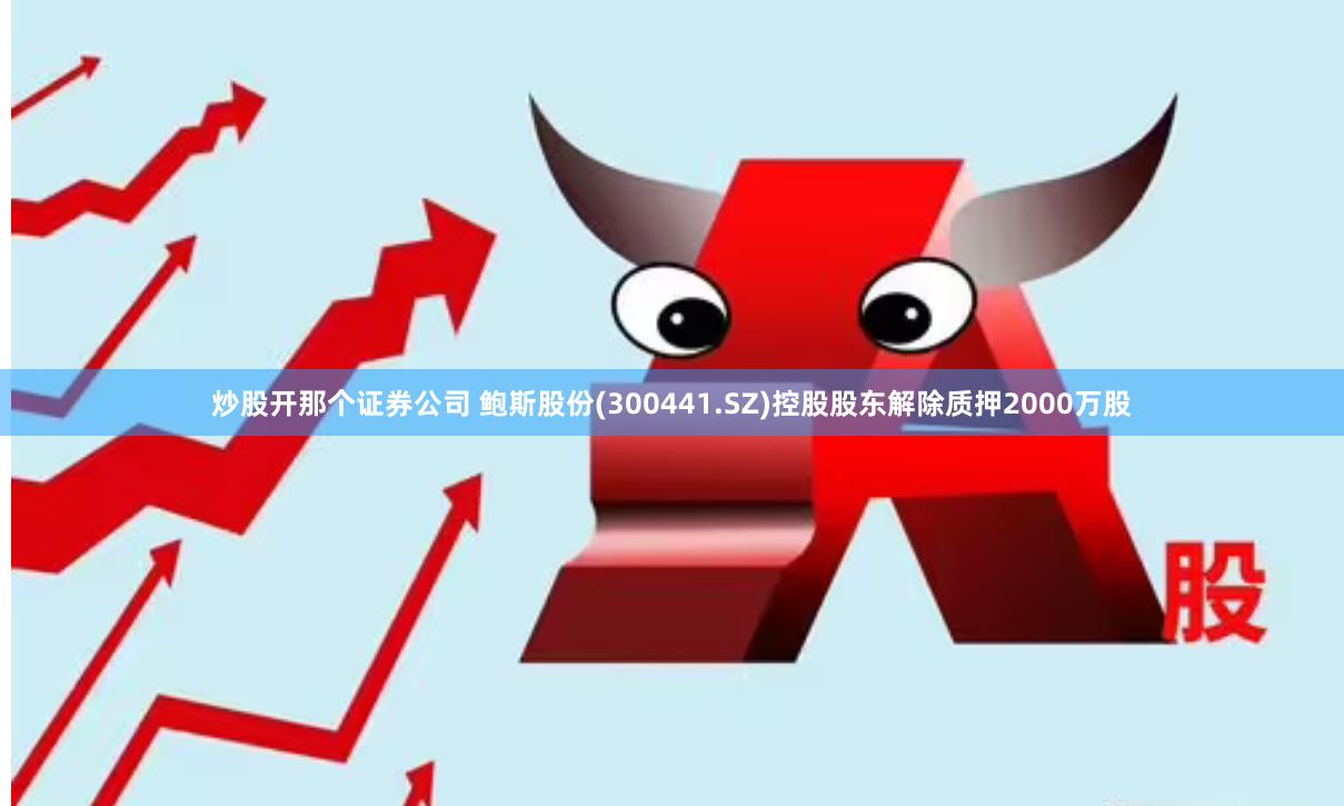 炒股开那个证券公司 鲍斯股份(300441.SZ)控股股东解除质押2000万股