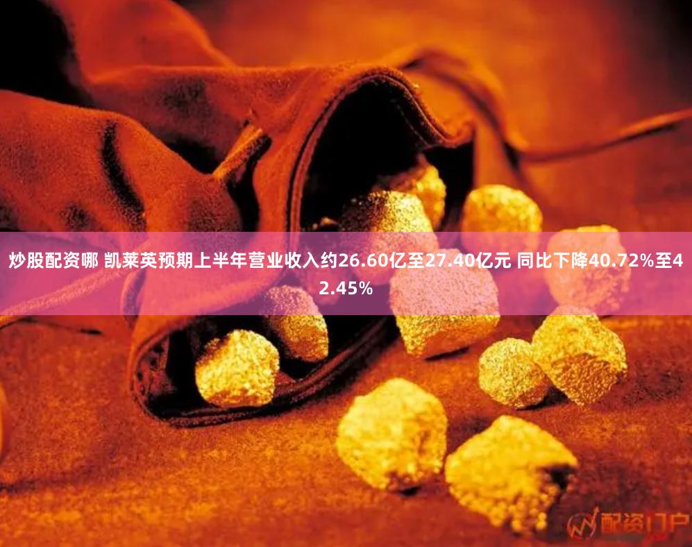 炒股配资哪 凯莱英预期上半年营业收入约26.60亿至27.40亿元 同比下降40.72%至42.45%